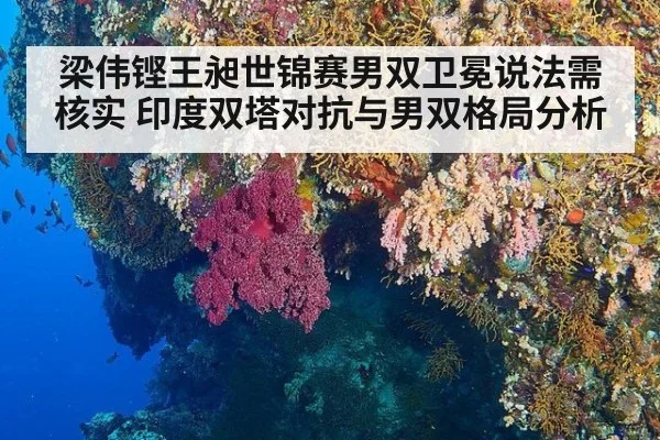 梁伟铿王昶世锦赛男双卫冕说法需核实 印度双塔对抗与男双格局分析